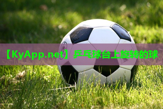 乒乓球台上旋转的球