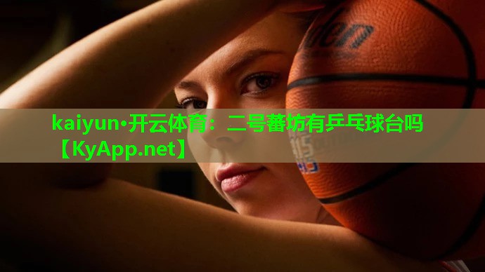 二号蕃坊有乒乓球台吗